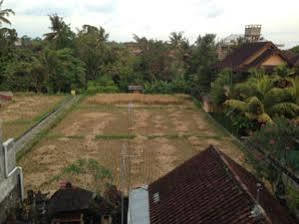 Pondok Mertha House Ubud Kültér fotó